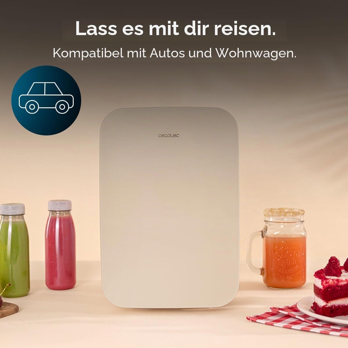 Mini-Kühlschrank / 12V-220V, Kompatibel mit Auto und Wohnwagen, Kühl- und Heizfunktion, Temperaturbereich 5-65º, Einfacher Transport.