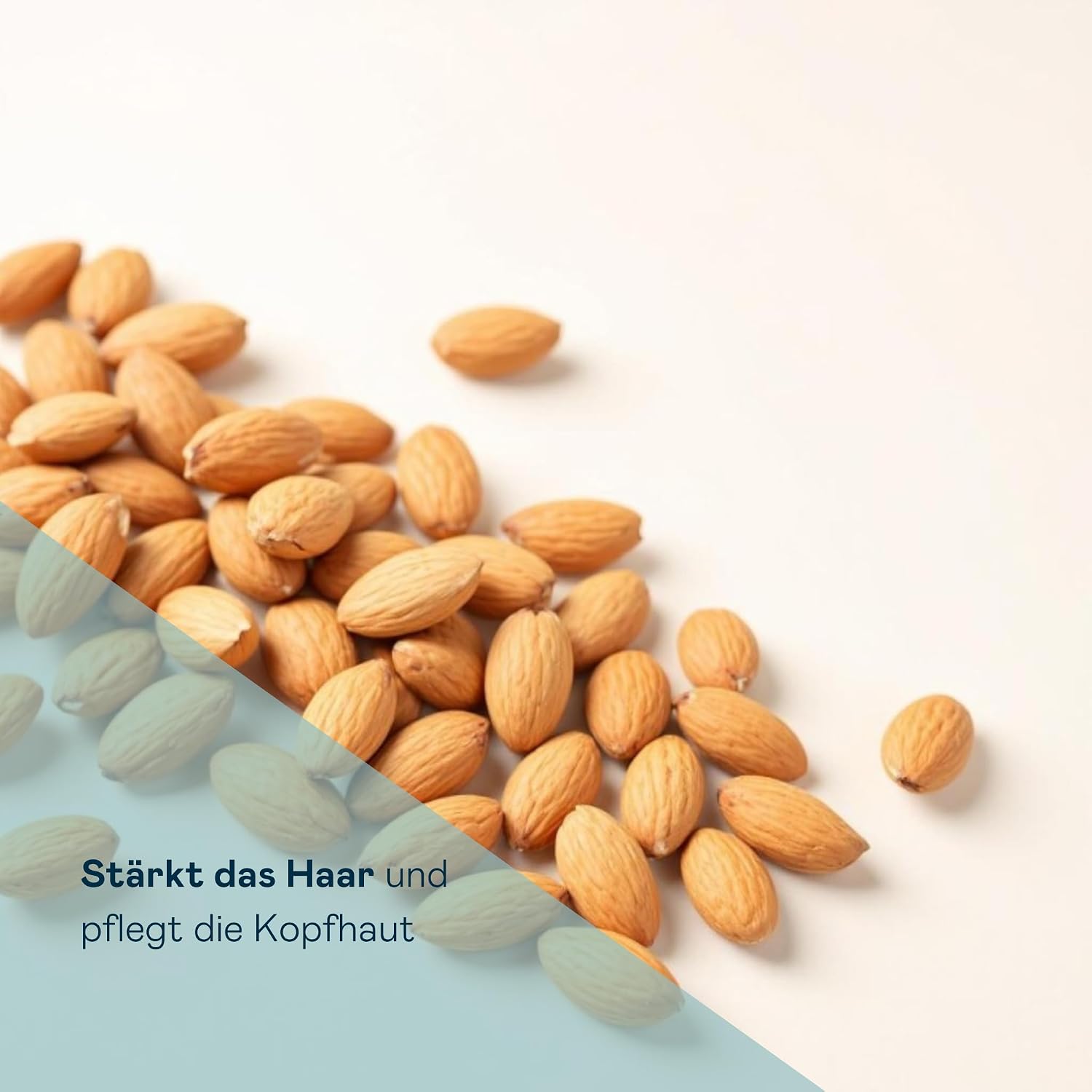 5 L Professionelle Shampoo Flasche | Stärkt und schützt das Haar | Tiefenreinigung und Geschmeidigkeit für alle Haartypen | Vegane Formel, silikonfrei