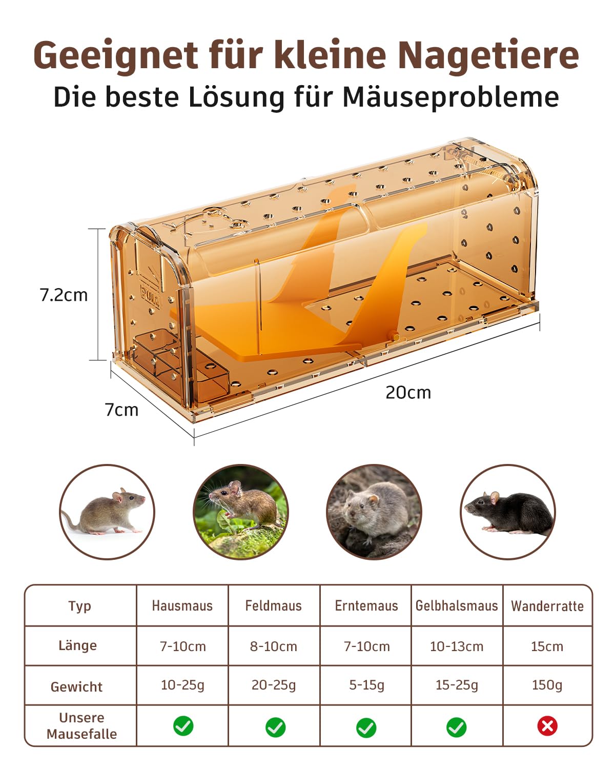 Mausefalle Lebend , Lebendfalle Maus, Wiederverwendbar, Tierfreundliche, Hochsensitive Quick Release, Kontakt mit Mäusen vermeiden - Gartenzubehör