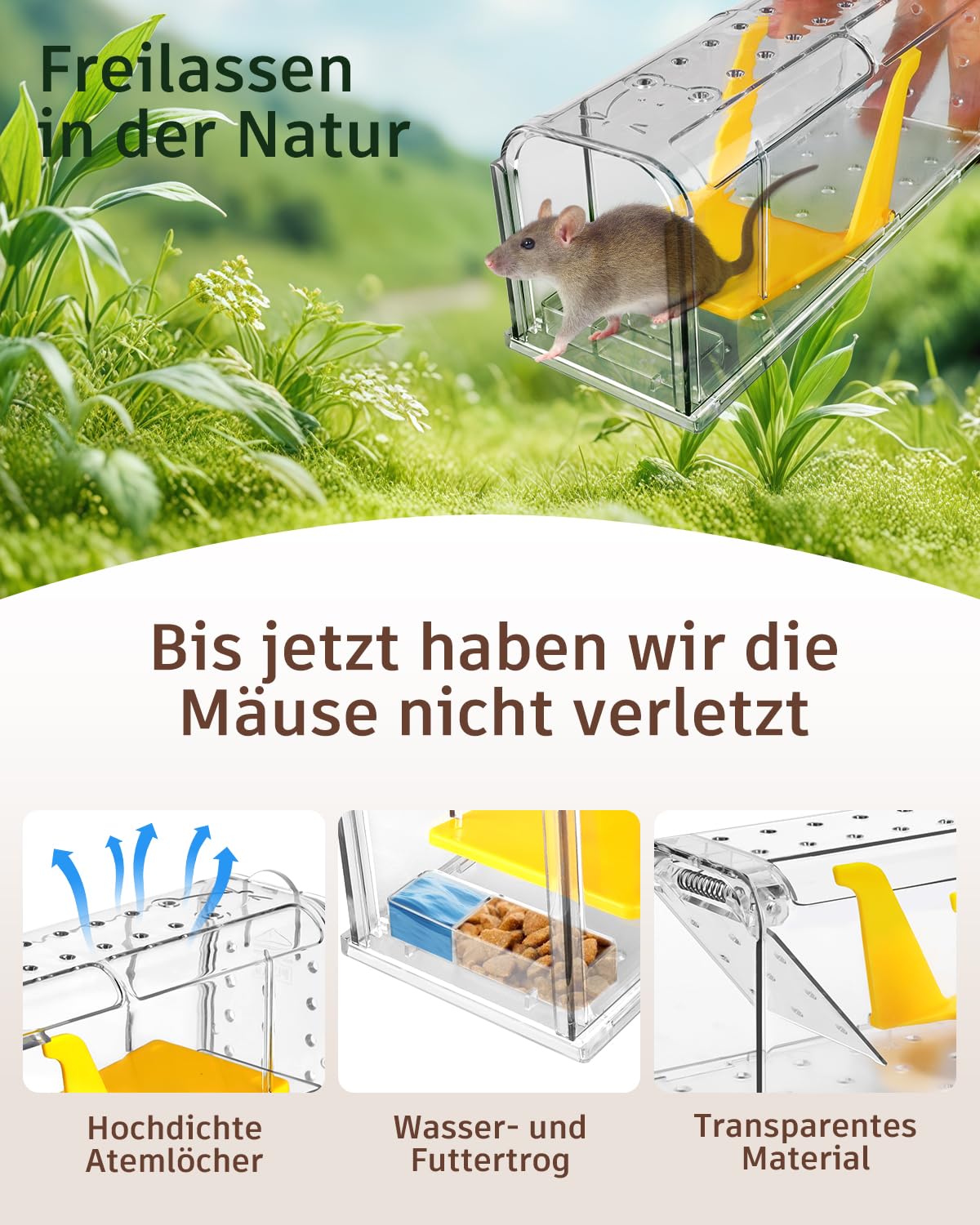 Mausefalle Lebend , Lebendfalle Maus, Wiederverwendbar, Tierfreundliche, Hochsensitive Quick Release, Kontakt mit Mäusen vermeiden - Gartenzubehör