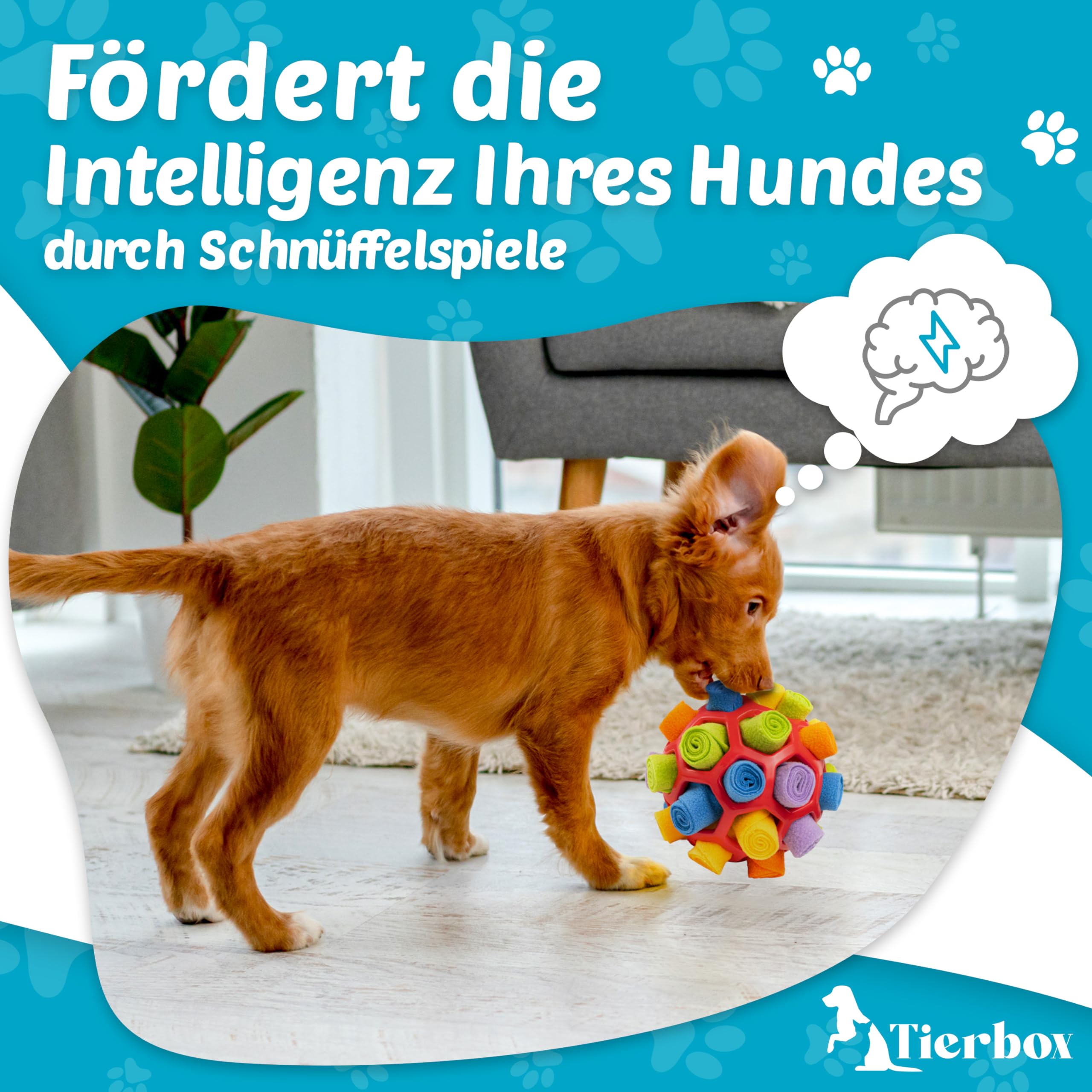 Schnüffelball für Hunde Intelligenz Spielzeug für alle Hunde / Schnüffelspiele Hund