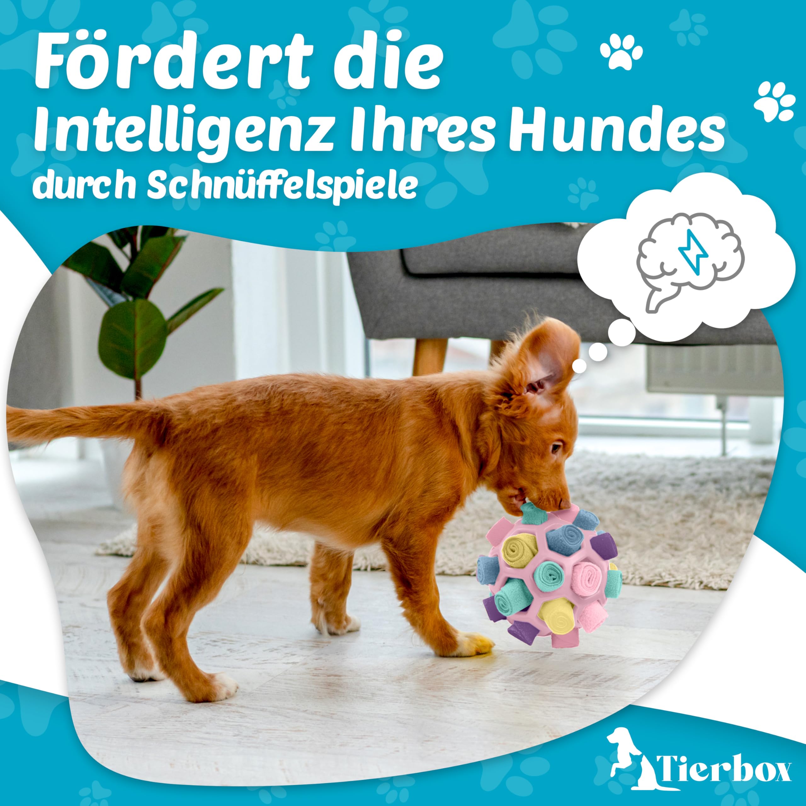 Schnüffelball für Hunde Intelligenz Spielzeug für alle Hunde / Schnüffelspiele Hund
