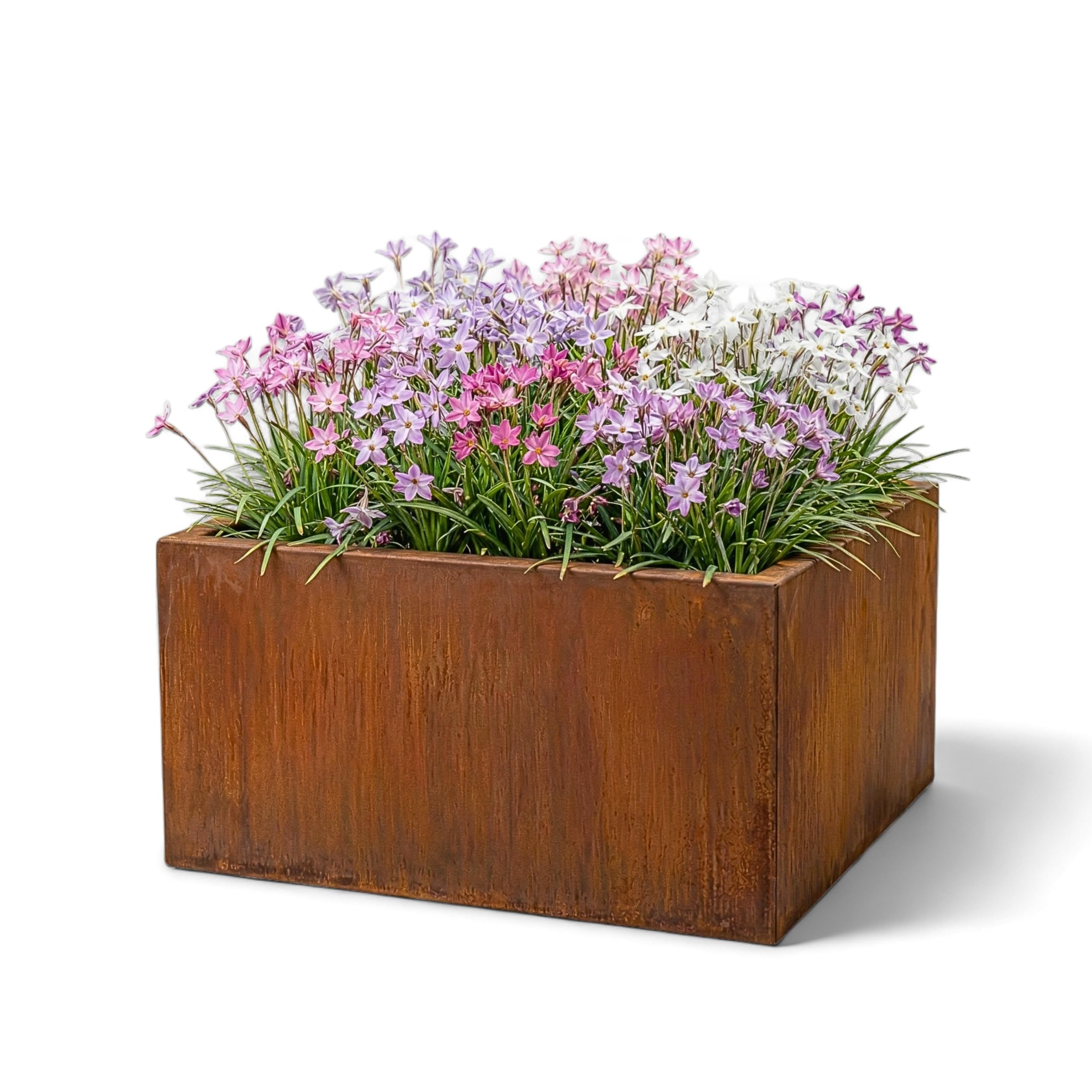 Cortenstahl Pflanzkübel - Blumenkübel quadratisch – wetterfest & langlebig – Garten Terrasse Balkon – Edelrost Pflanzgefäss