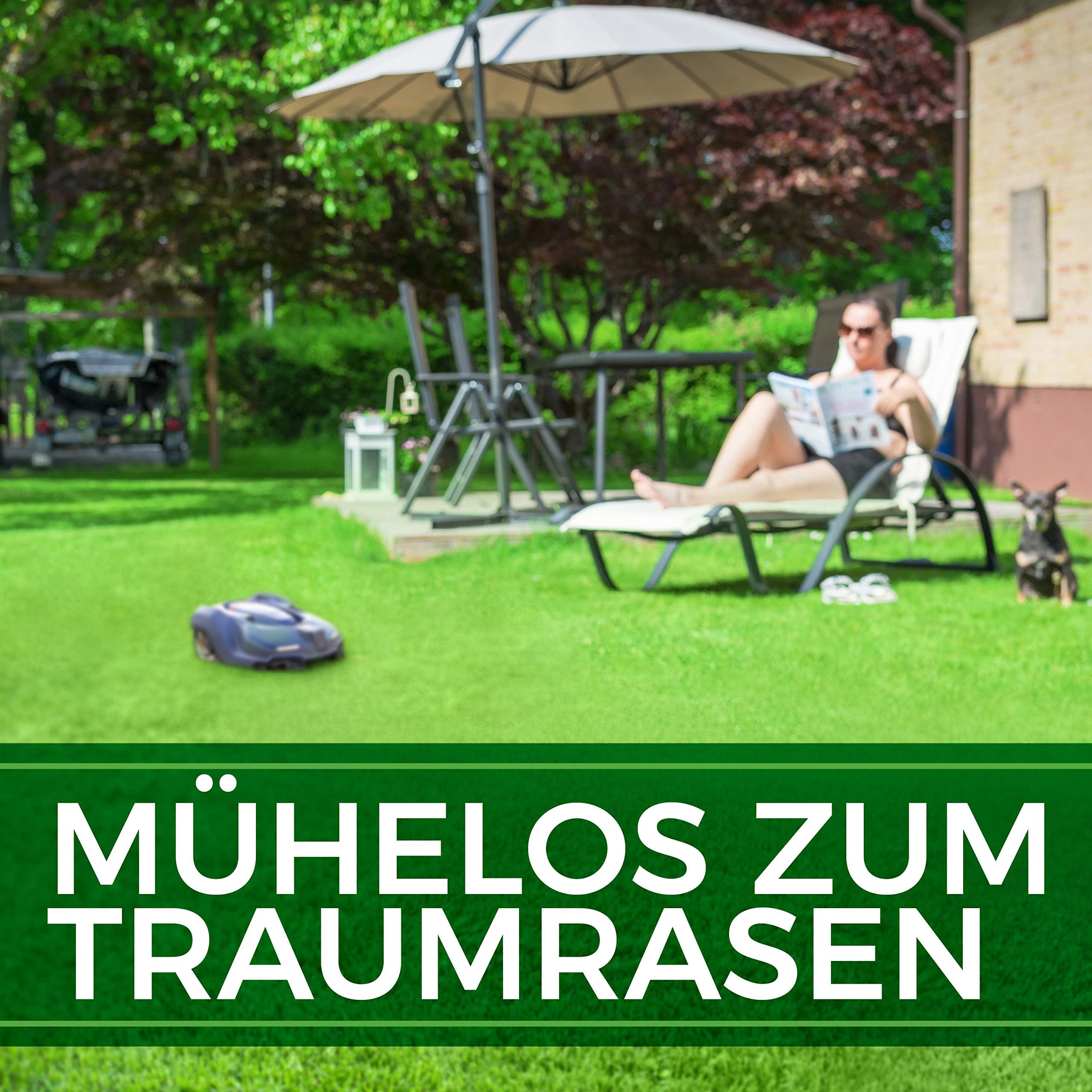 Roboter Rasensamen Unkraut-frei / Schnellkeimend 1kg Sommer – TEST SEHR GUT - Selbstdüngend Roboter Rasensaat für ALLE Mähroboter - 100% Keimgarantie - Nachsaat Grassamen von NATUREFLOW Made in Germany