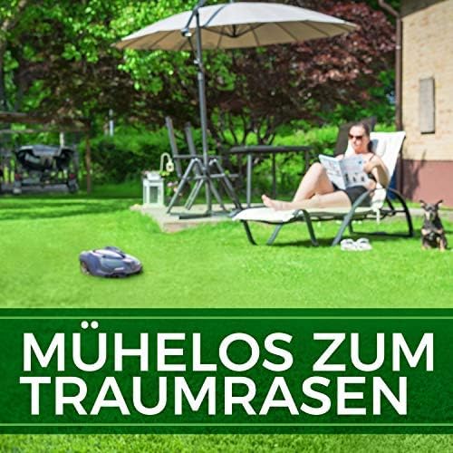 Roboter Rasensamen Unkraut-frei / Schnellkeimend 1kg Sommer – TEST SEHR GUT - Selbstdüngend Roboter Rasensaat für ALLE Mähroboter - 100% Keimgarantie - Nachsaat Grassamen von NATUREFLOW Made in Germany