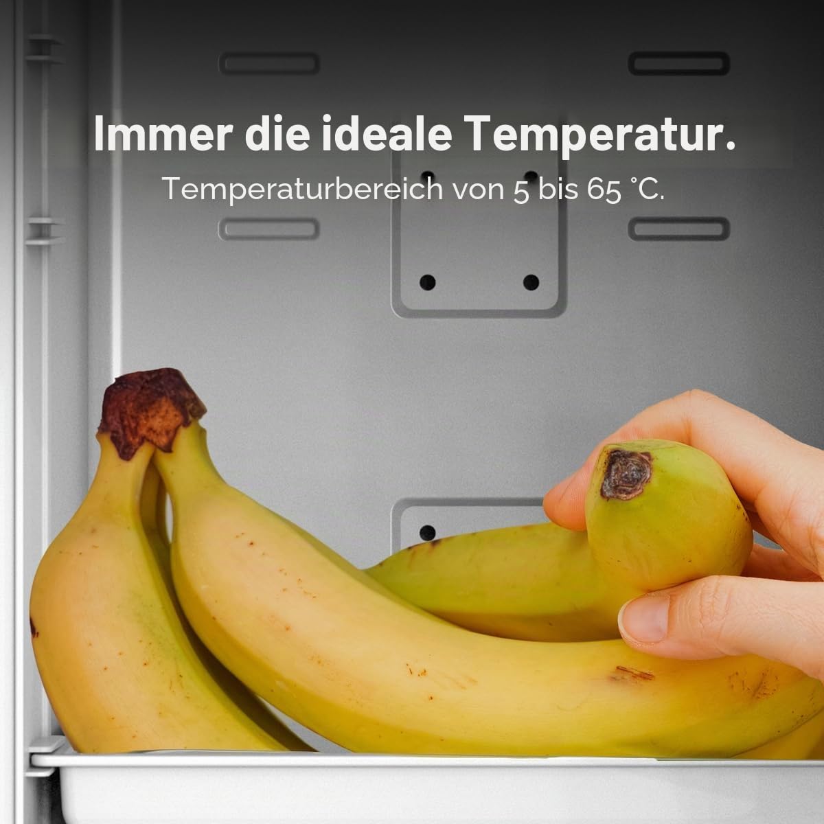 Mini-Kühlschrank / 12V-220V, Kompatibel mit Auto und Wohnwagen, Kühl- und Heizfunktion, Temperaturbereich 5-65º, Einfacher Transport.