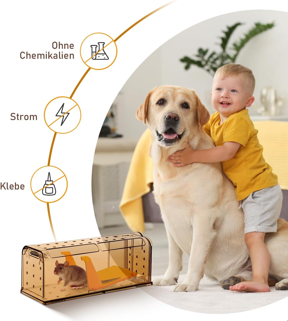 Mausefalle Lebend , Lebendfalle Maus, Wiederverwendbar, Tierfreundliche, Hochsensitive Quick Release, Kontakt mit Mäusen vermeiden - Gartenzubehör