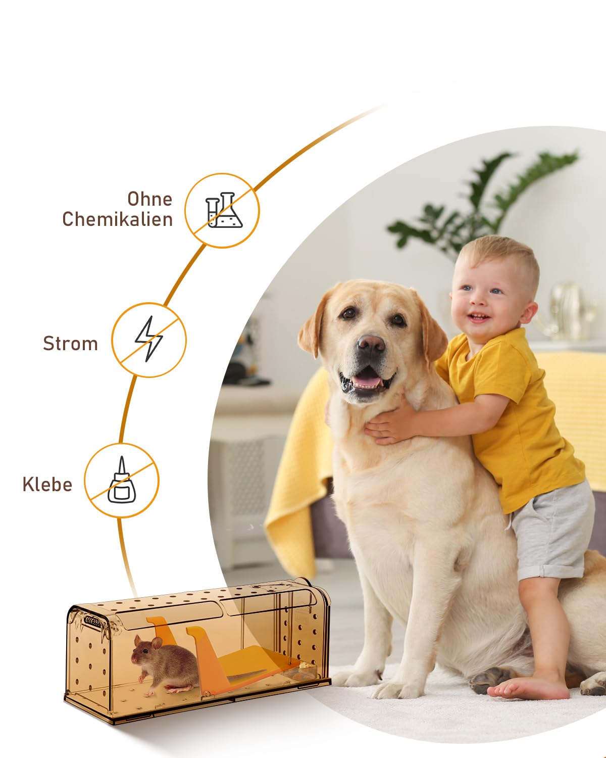 Mausefalle Lebend , Lebendfalle Maus, Wiederverwendbar, Tierfreundliche, Hochsensitive Quick Release, Kontakt mit Mäusen vermeiden - Gartenzubehör