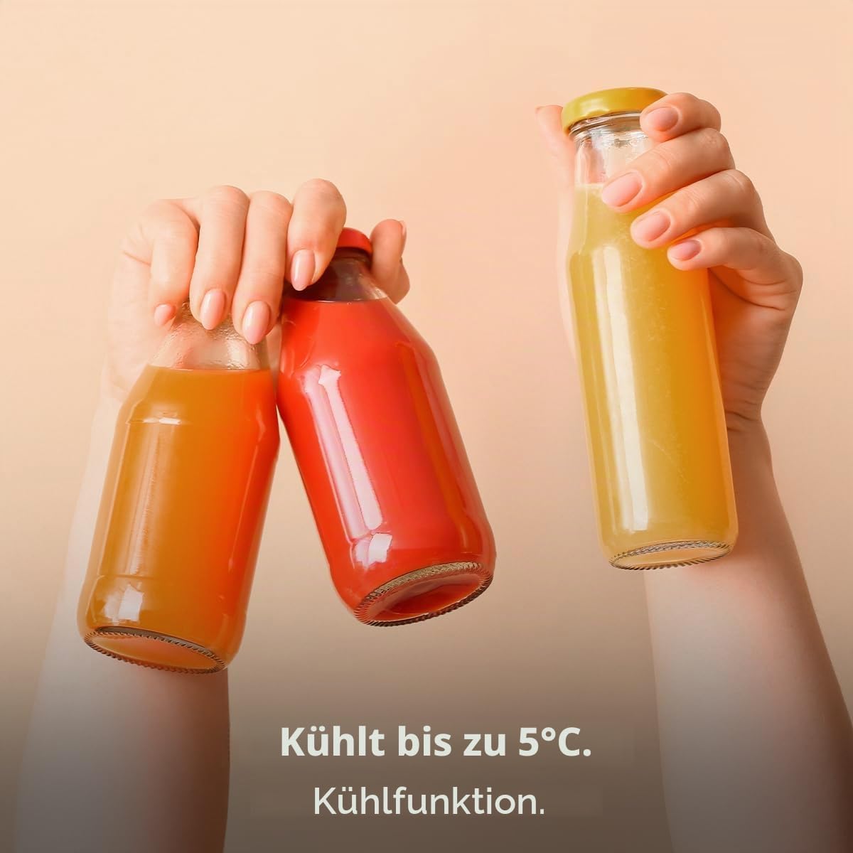 Mini-Kühlschrank / 12V-220V, Kompatibel mit Auto und Wohnwagen, Kühl- und Heizfunktion, Temperaturbereich 5-65º, Einfacher Transport.