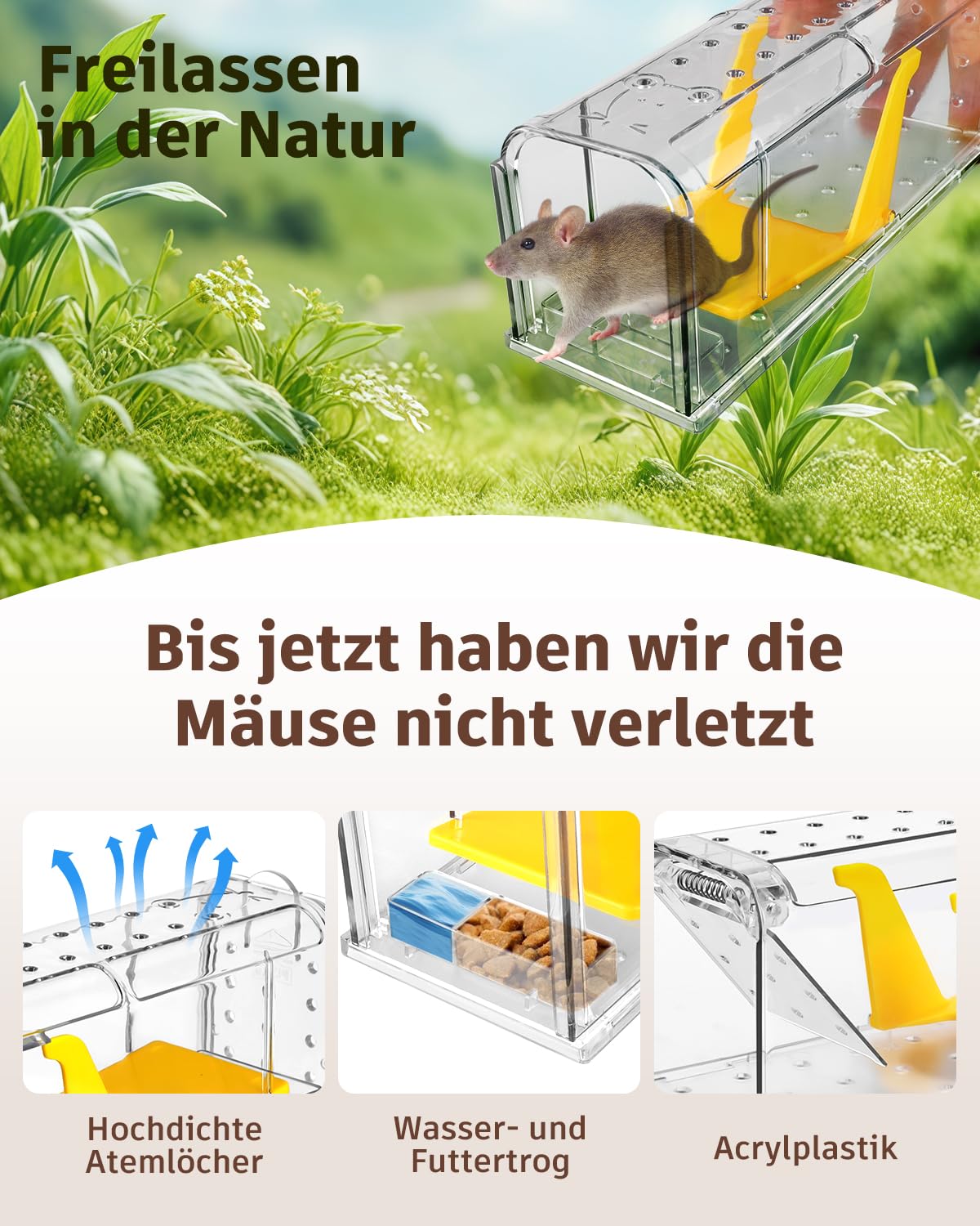 Mausefalle Lebend , Lebendfalle Maus, Wiederverwendbar, Tierfreundliche, Hochsensitive Quick Release, Kontakt mit Mäusen vermeiden - Gartenzubehör