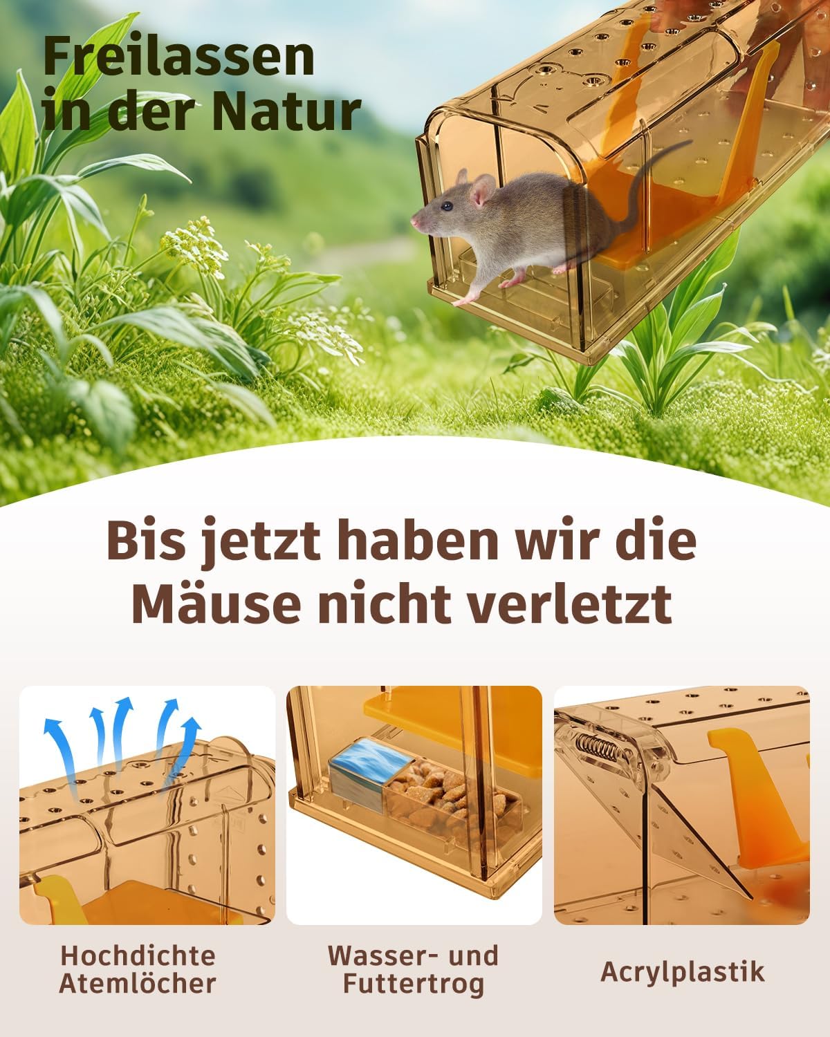 Mausefalle Lebend , Lebendfalle Maus, Wiederverwendbar, Tierfreundliche, Hochsensitive Quick Release, Kontakt mit Mäusen vermeiden - Gartenzubehör
