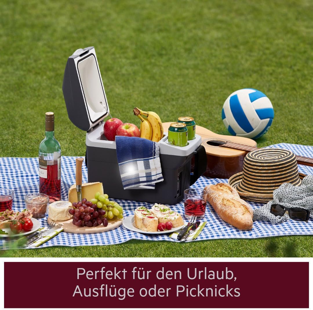 AEG Automotive Board-Bar BK 6 Thermoelektrische Kühl- und Warmhaltebox 6 Liter, 12 Volt für Auto und Steckdose, anschnallbar im PKW