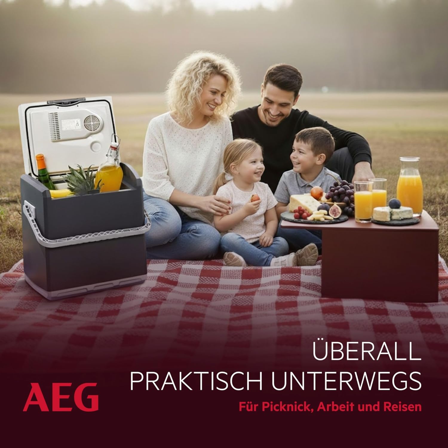 AEG Thermoelektrische Kühlbox KK 28, kühlt bis 20 °C unter Umgebungstemparatur, 28 Liter Fassungsvermögen, 12V/230V, Tragegriff & Kabelfach, leicht zu reinigen, für Auto, Reisen & Camping