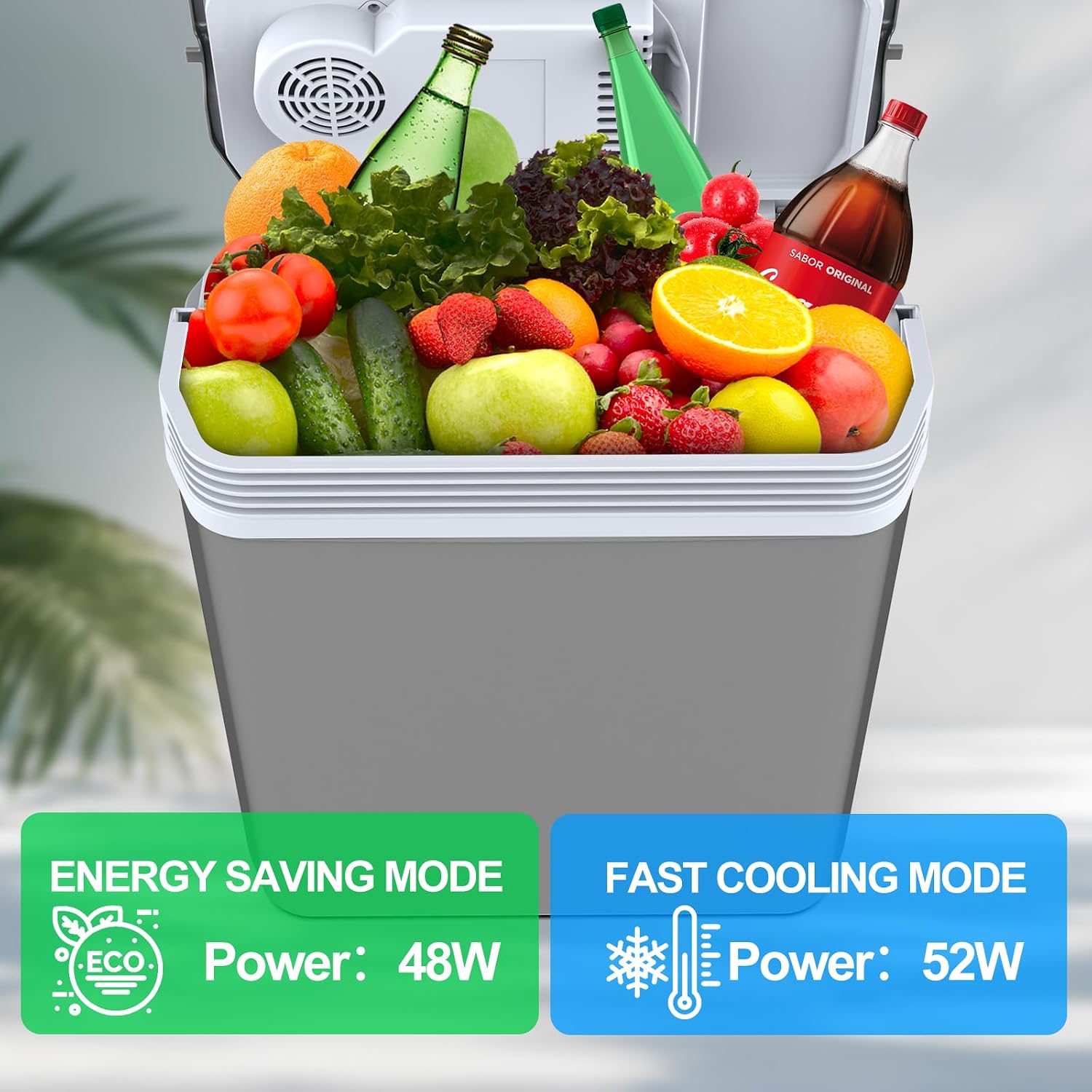 24 Liter Kühlbox, 2 in1 elektrische Kühlbox 12V 230V Kühlen und Wärmen Mini Kühlschrank mit ECO & MAX Modus, für Auto und Hause Leise