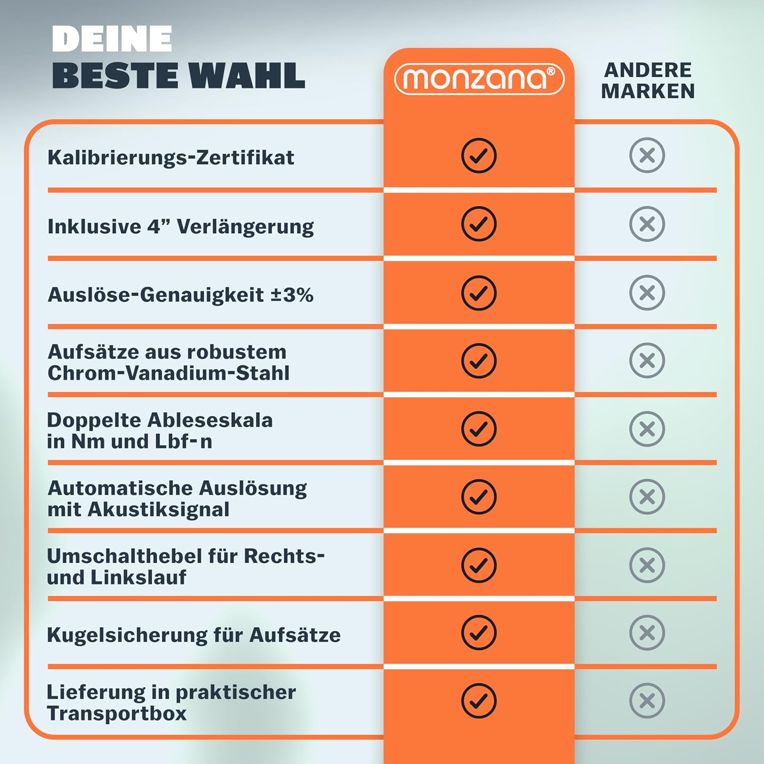 Fahrradmontageständer 30 kg mit Drehmomentschlüssel 1/4 Zoll Set Profi klappbar Tragetasche Reifenheber 1-25 Nm Bitset Transportbox