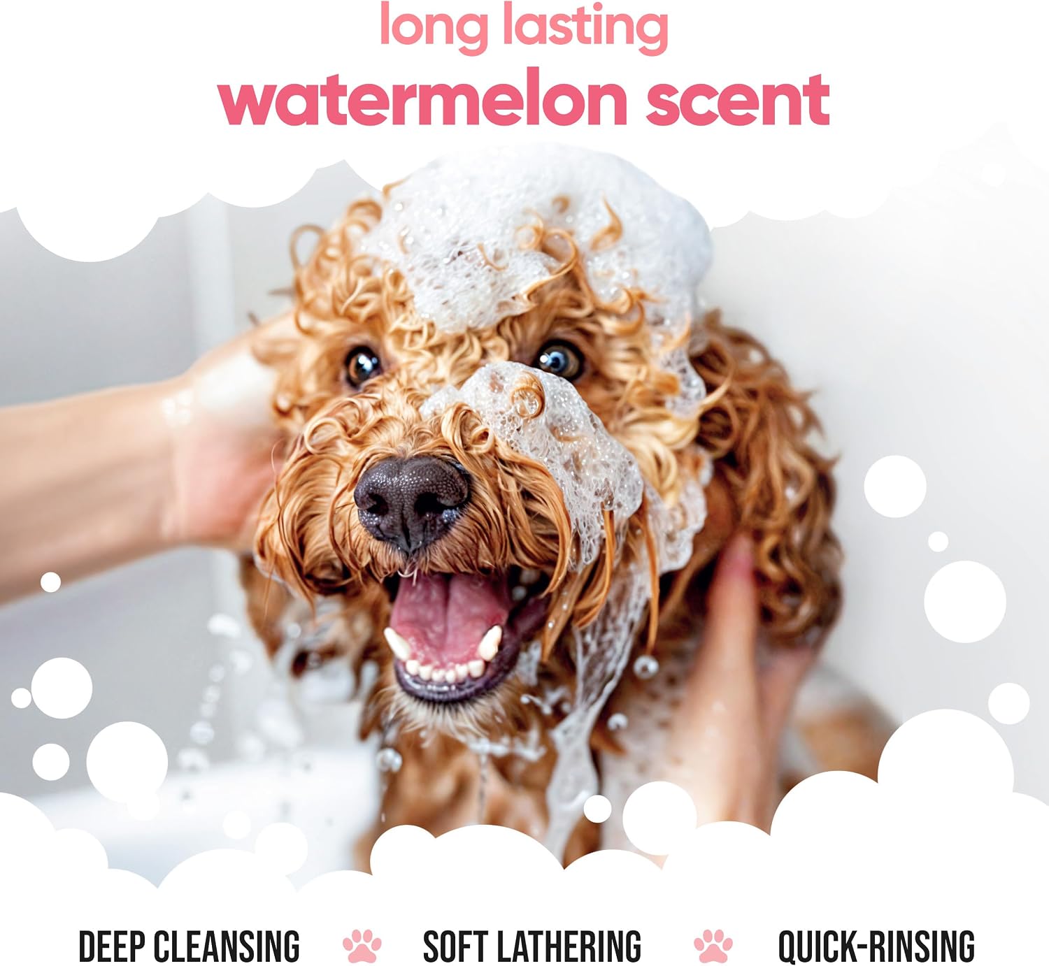Shampoo für Hunde , viele Varianten!