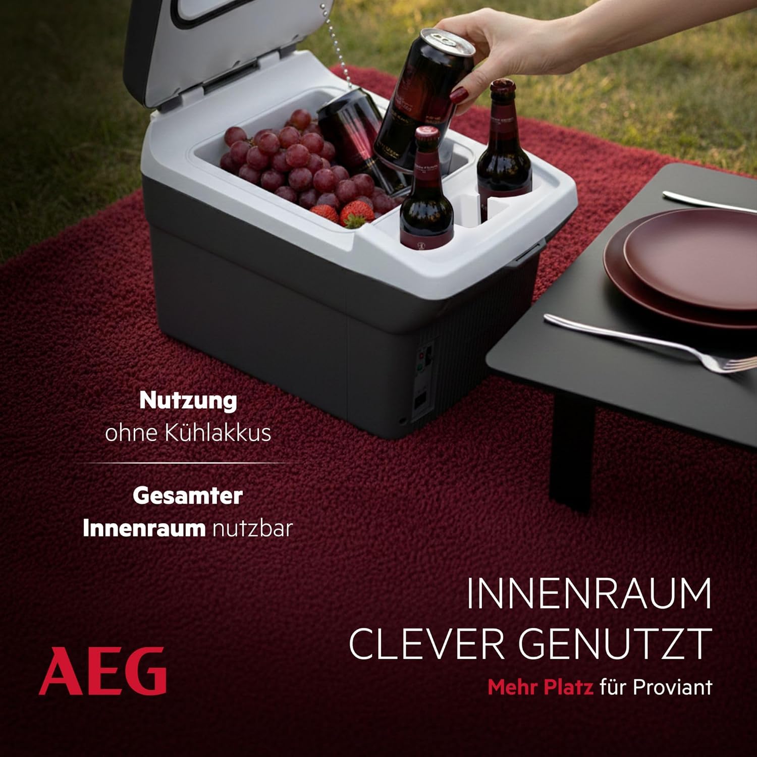 AEG Automotive Board-Bar BK 16 Thermoelektrische Kühl- und Warmhaltebox 16 Liter, 12 Volt für Auto und Steckdose, anschnallbar im PKW, Schwarz,hellgrau