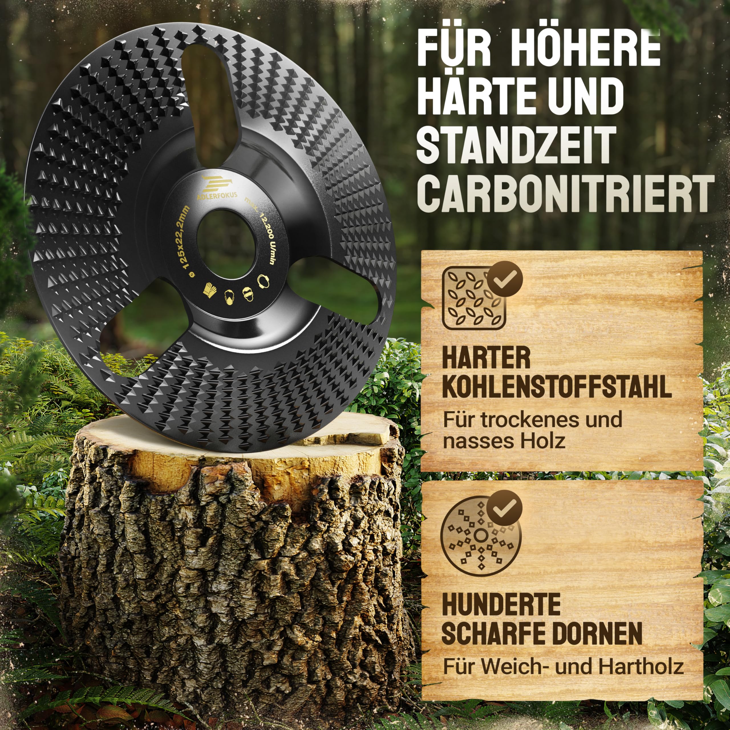 Holz Schleifscheibe 125mm Winkelschleifer [EXTRA SCHARF] | Flexscheibe für Holz - Wurzelfräse - Lackfräse - Baumstumpffräse - Raspelscheibe - Schleifen mit einer Flex Schleifscheibe