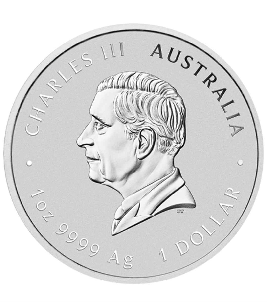 1 Unze Lunar III Silbermünze Snake 2025