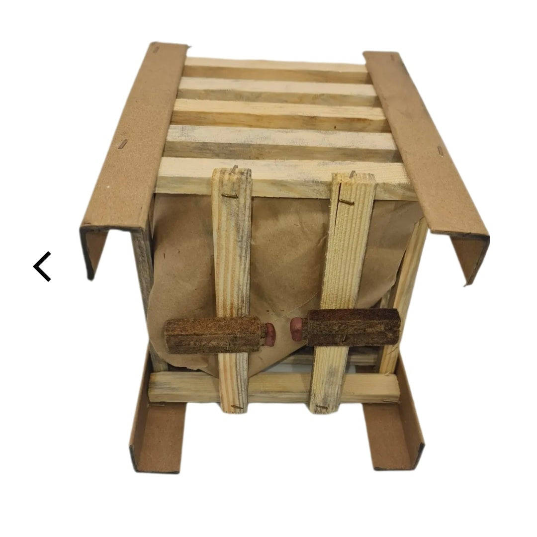 Easy Grill Brik Box / Anzünd-Hilfe / Grillholz - Restposten